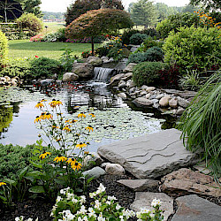 Water Gardening - Harken's Landscape Supply & Garden Center - East ...